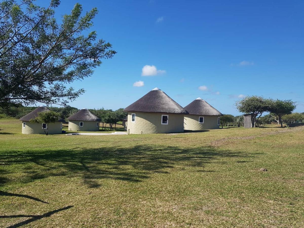 Izulu Eco Lodge سودوانا باي المظهر الخارجي الصورة